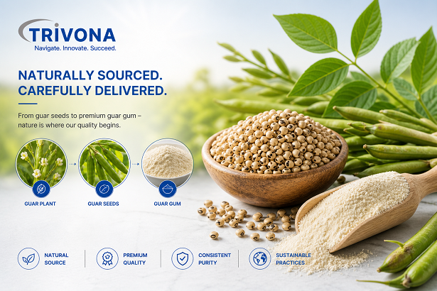 Guar seeds and guar gum source