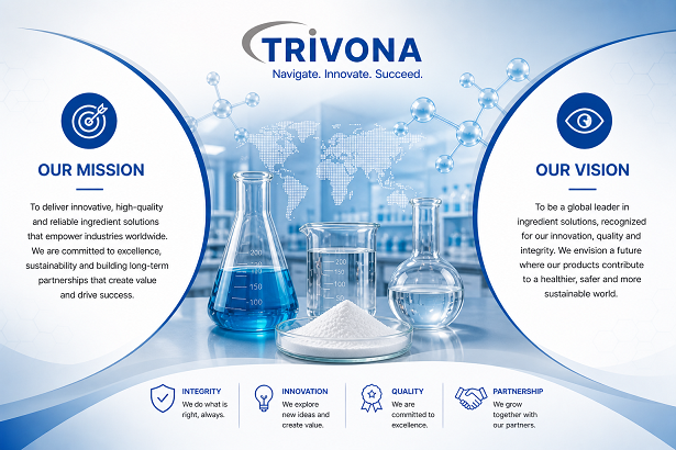 Mission and vision of Trivona India LLP